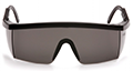 Gray Lenses with Black Frame - 2