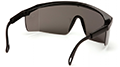 Gray Lenses with Black Frame - 3