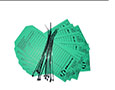 Test Tags